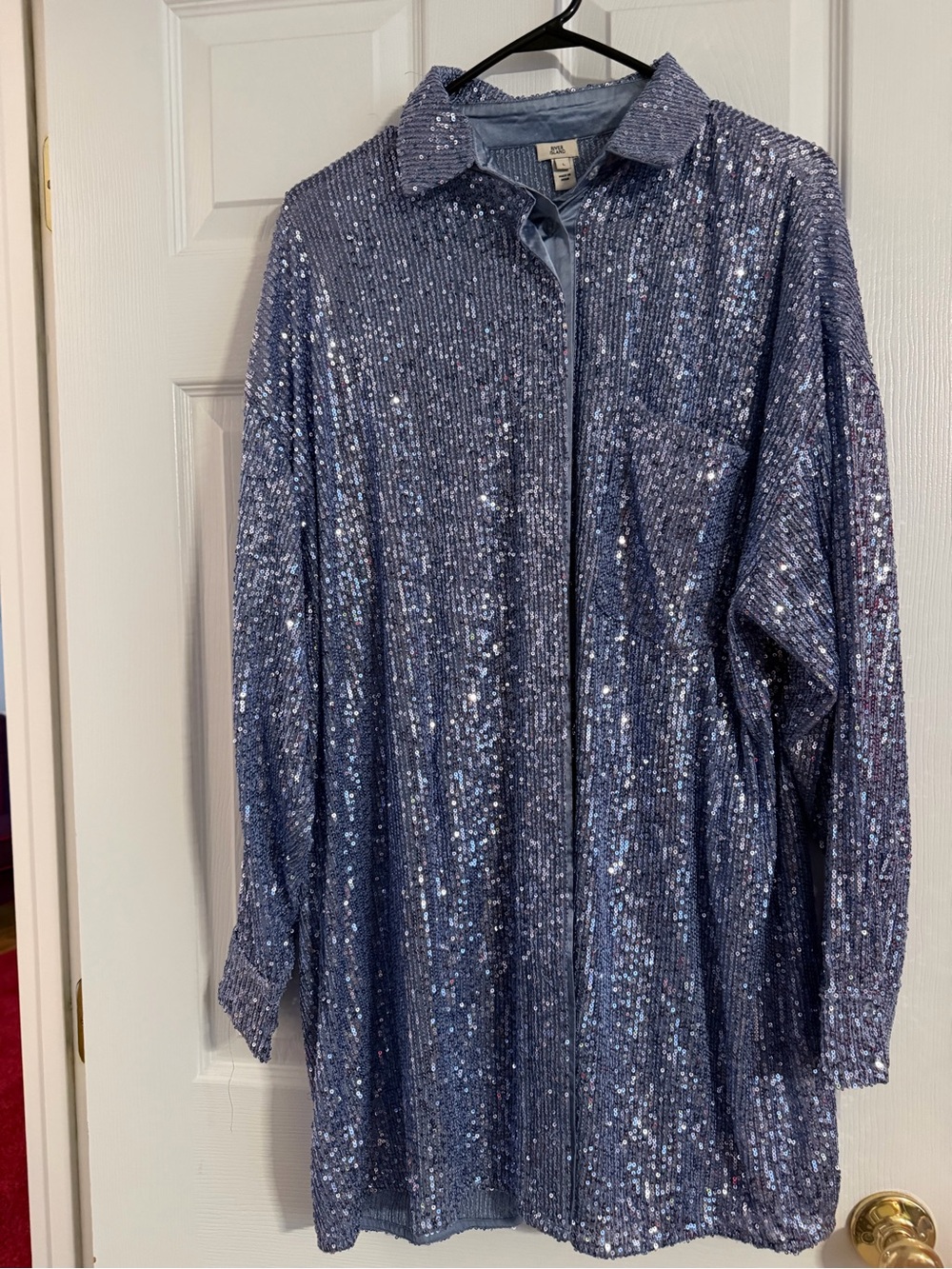 Sequin Button-Front Shirt/mini dress - Blue